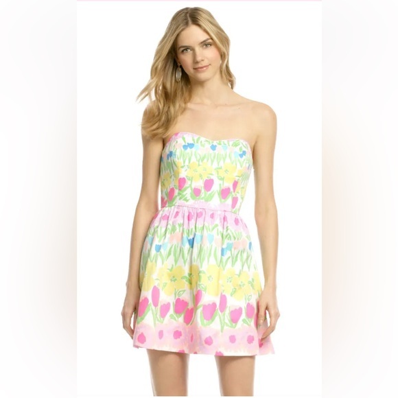 Lilly Pulitzer Women's‎ Payton Dress Multi Color Floral Tulips size 0 - Picture 1 of 9